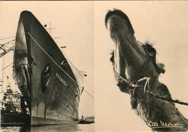 Paquebot S.S NORMANDIE - Carte-postale grand format satinée Noir et Blanc - Editeur : L.P.A.M - Réf. Site : CPDHS LPAM 1-D849 PSB